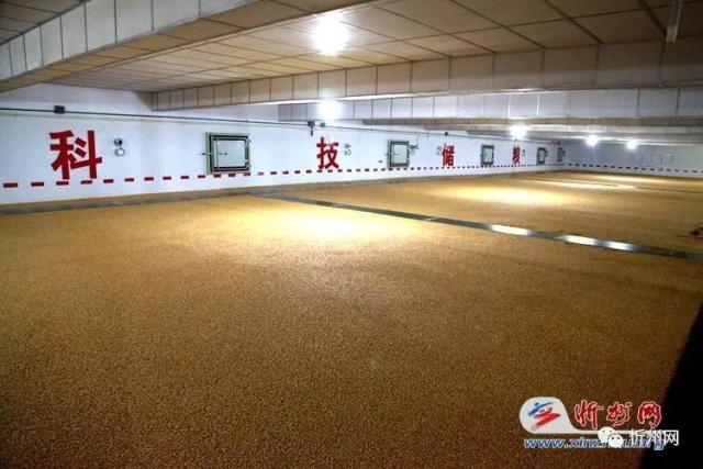 探秘“大国粮仓” 中储粮忻州直属库举办公众开放日活动，守护舌尖上的安全