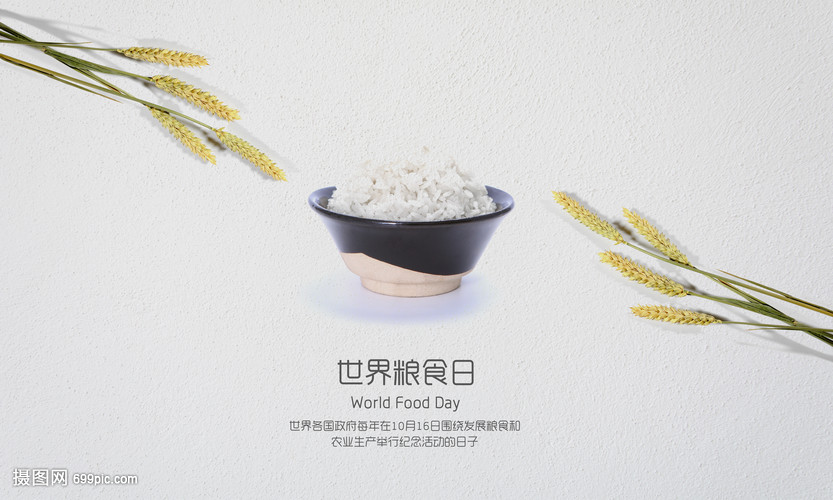 珍惜粮食·守护未来 世界粮食日的思考与行动