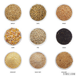 丰收的黄色诗篇 每一粒粮食背后的守望与新生